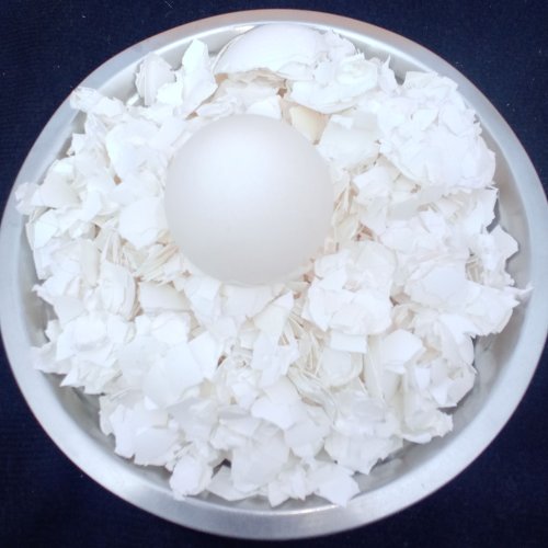 white egg shell