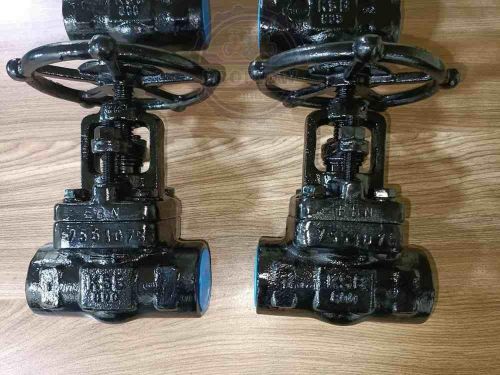 Ksb Forged Steel Globe Valve