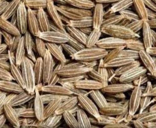 Bold Cumin Seeds