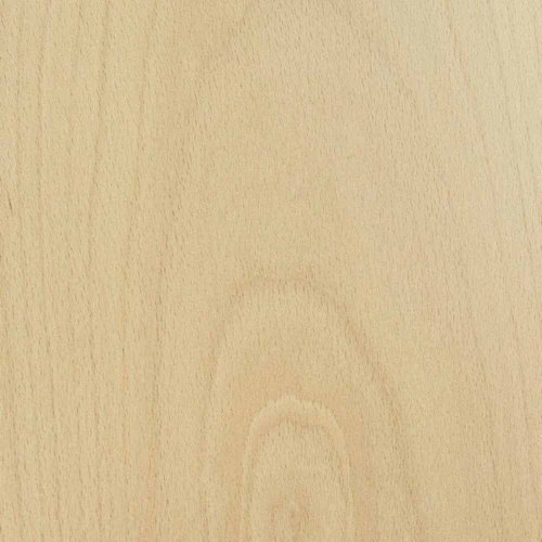 Steam Beech Wood