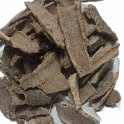 Raw Varun Bark