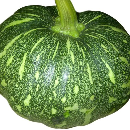 Fresh Pumpkin
