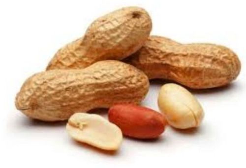 Raw Groundnut Kernels