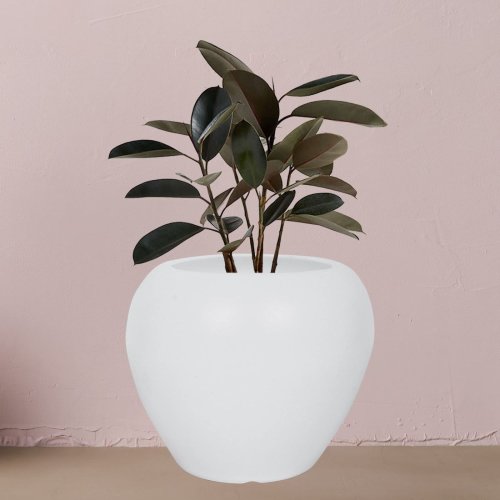 8 Inch White Apple Flower Pot