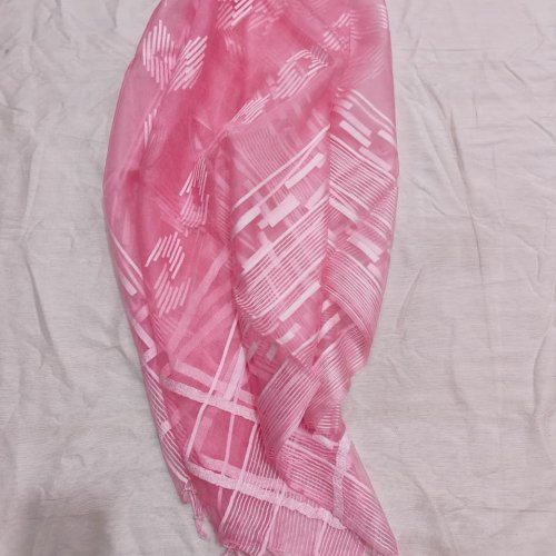 Ladies Organza Silk Designer Dupatta