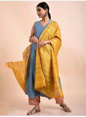 Ladies Tussar Ghicha Silk Plain Border Dupatta