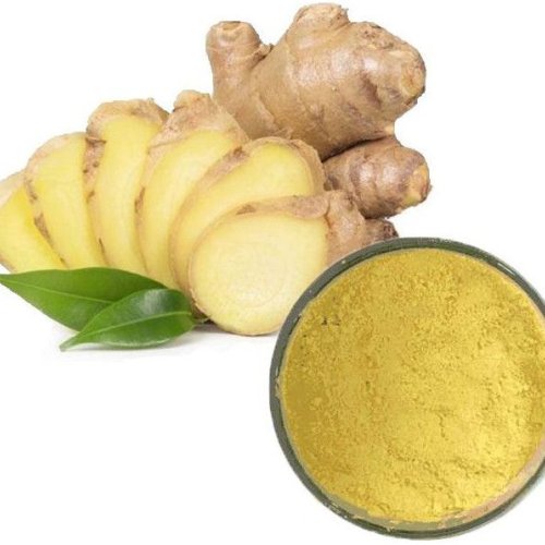 Dry Ginger Extract