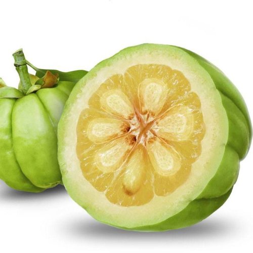Garcinia Cambogia Extract