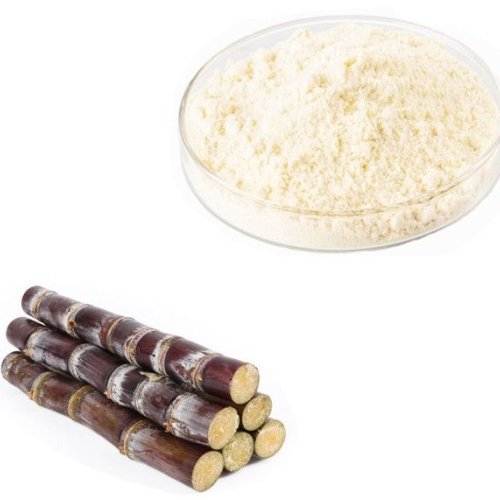 Sugarcan Wax Extract 60% Octacosanol
