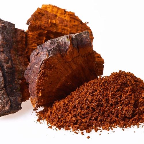 Chaga Mushroom Extract