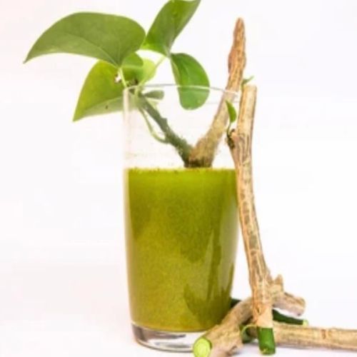 Giloy Extract