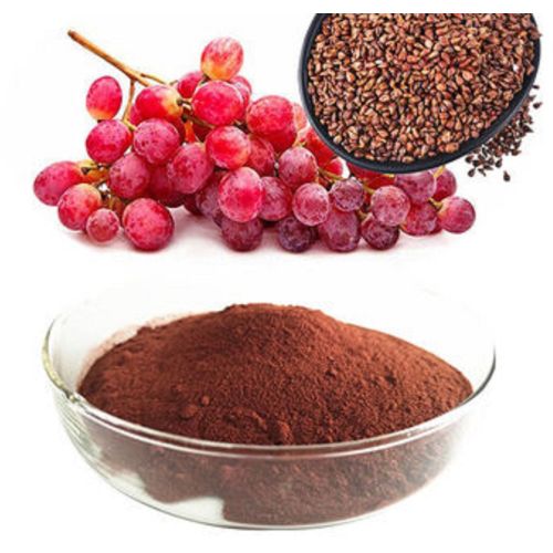 Grape Seed Extract
