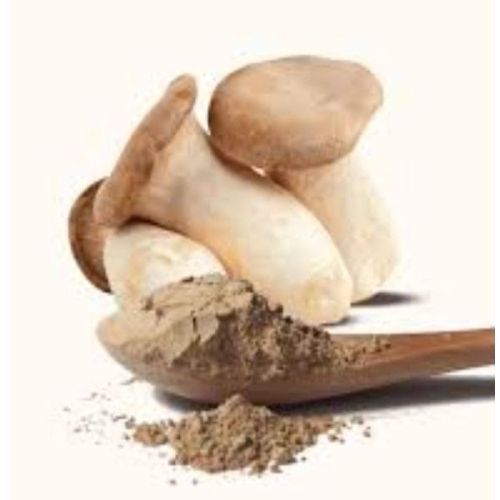 King Trumpet Mushroom Extract