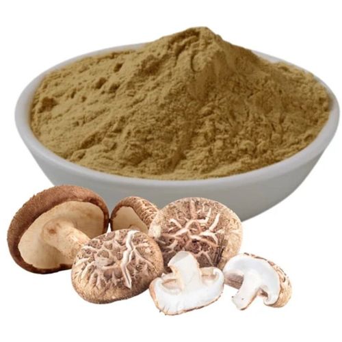Shiitake Mushroom Extract