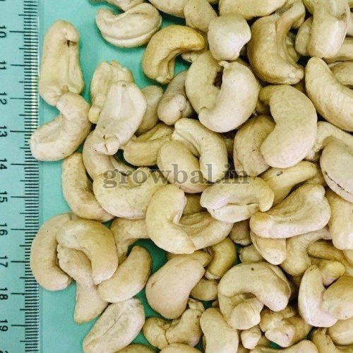 cashew nuts