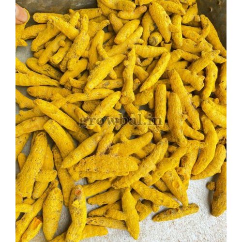 Turmeric Finger