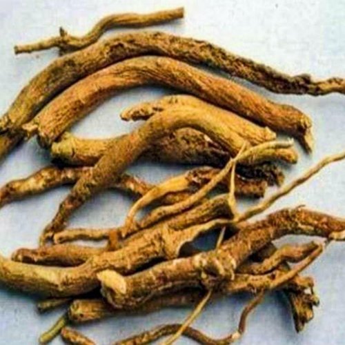 Dry Punarnava Root