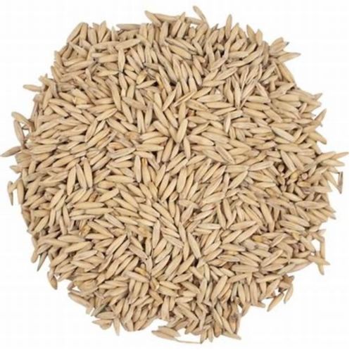 MTU 1010 Rice