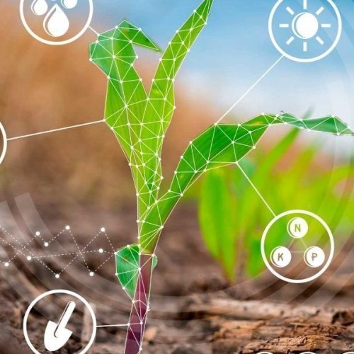 Agroforestry & Climate Smart Farming Service
