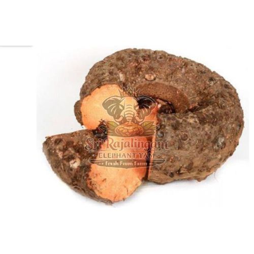 Indian Elephant Yam