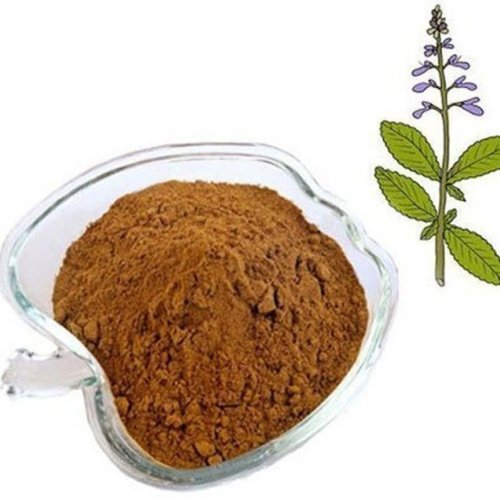 Coleus Extract Powder