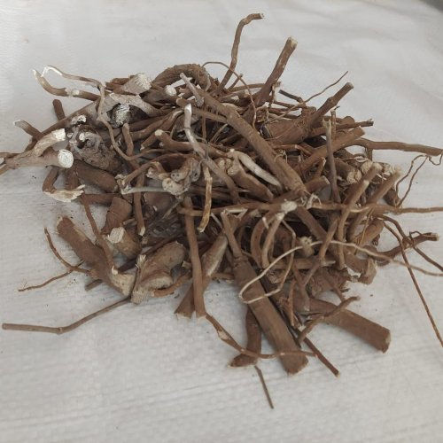 Dried Patala Root