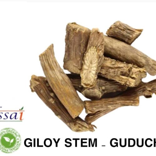 Organic Dried Giloy Stem