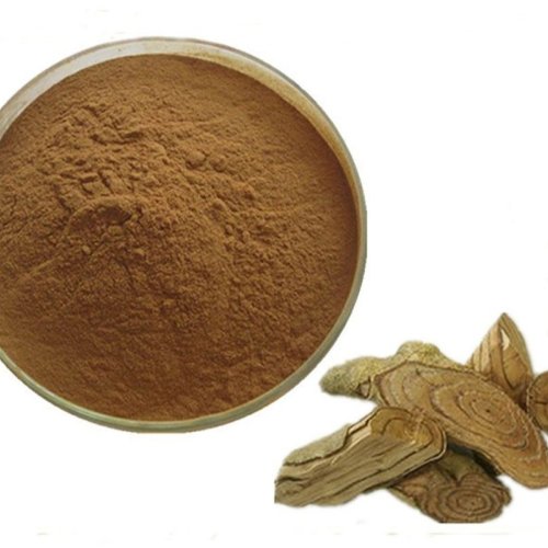 Salacia Herbal Extract Powder