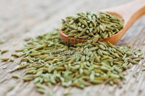 A Grade Green Fennel Seed