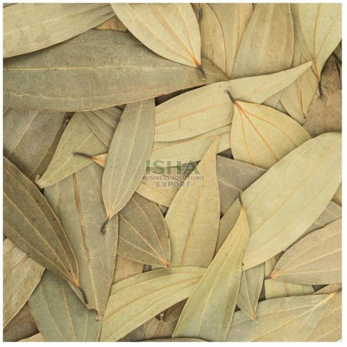 Bay Leaf