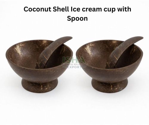 Coconut Shell Ice Cream Cup With Spoon
