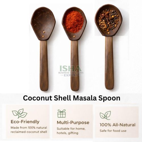 Coconut Shell Masala Spoon