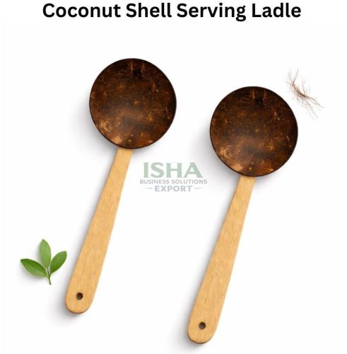 Coconut Shell Serving Ladle
