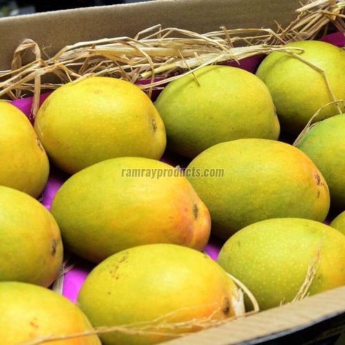 Fresh Ratnagiri Alphonso Mango