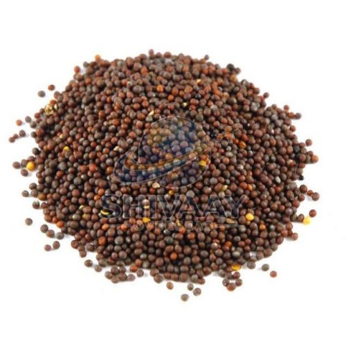 Black Mustard Seeds