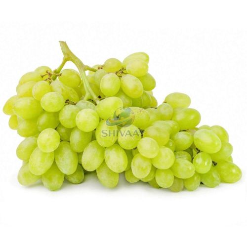 Fresh Green Grapes