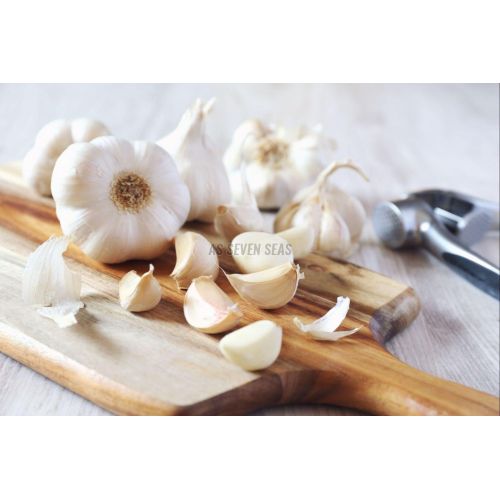 A Grade Fresh White Garlic