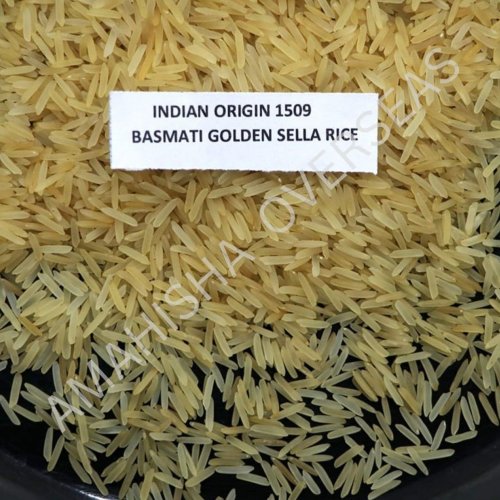 1509 Basmati Golden Sella Rice