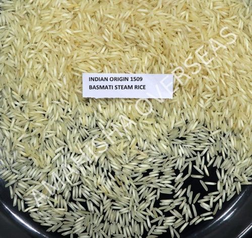 1509 Basmati Steam Rice