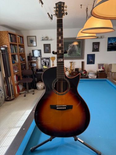 Exquisite Acoustic Electric Guitar