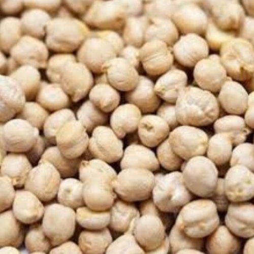 Bold Kabuli Chickpeas