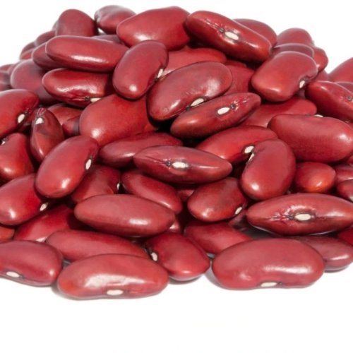 Premium Rajma Beans
