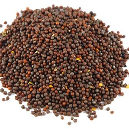 Black Mustard Seeds