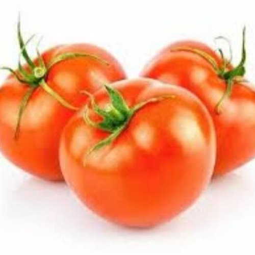 Fresh Desi Tomato