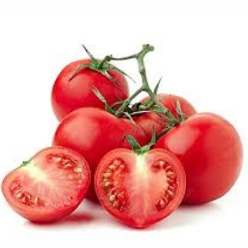 Fresh Hybrid Tomato
