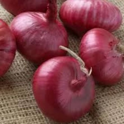 Fresh Nashik Onion