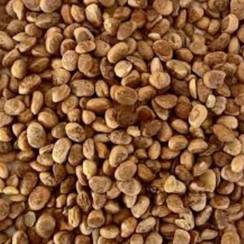 Natural Chironji Seeds