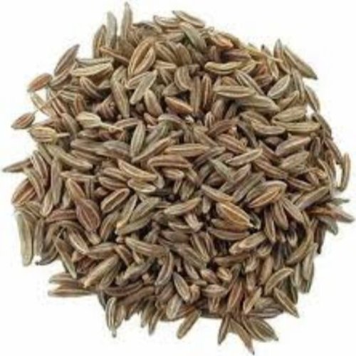 Premium Jeera Seeds