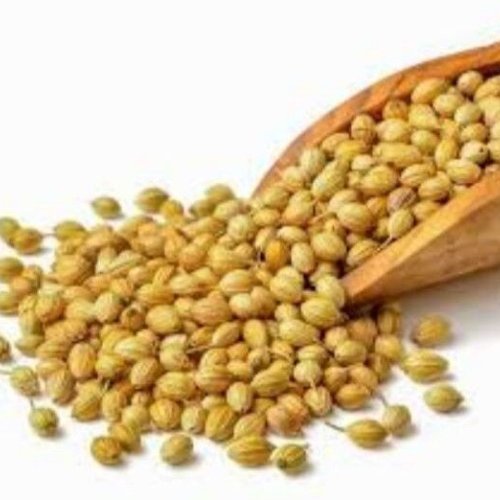 Whole Coriander Seeds