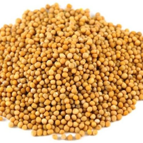 Yellow Mustard Seeds